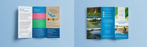 Brochure design for Sanibel Communities for Clean Water