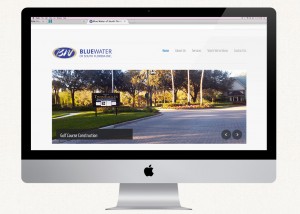 Website Design for Blue Water of South Florida